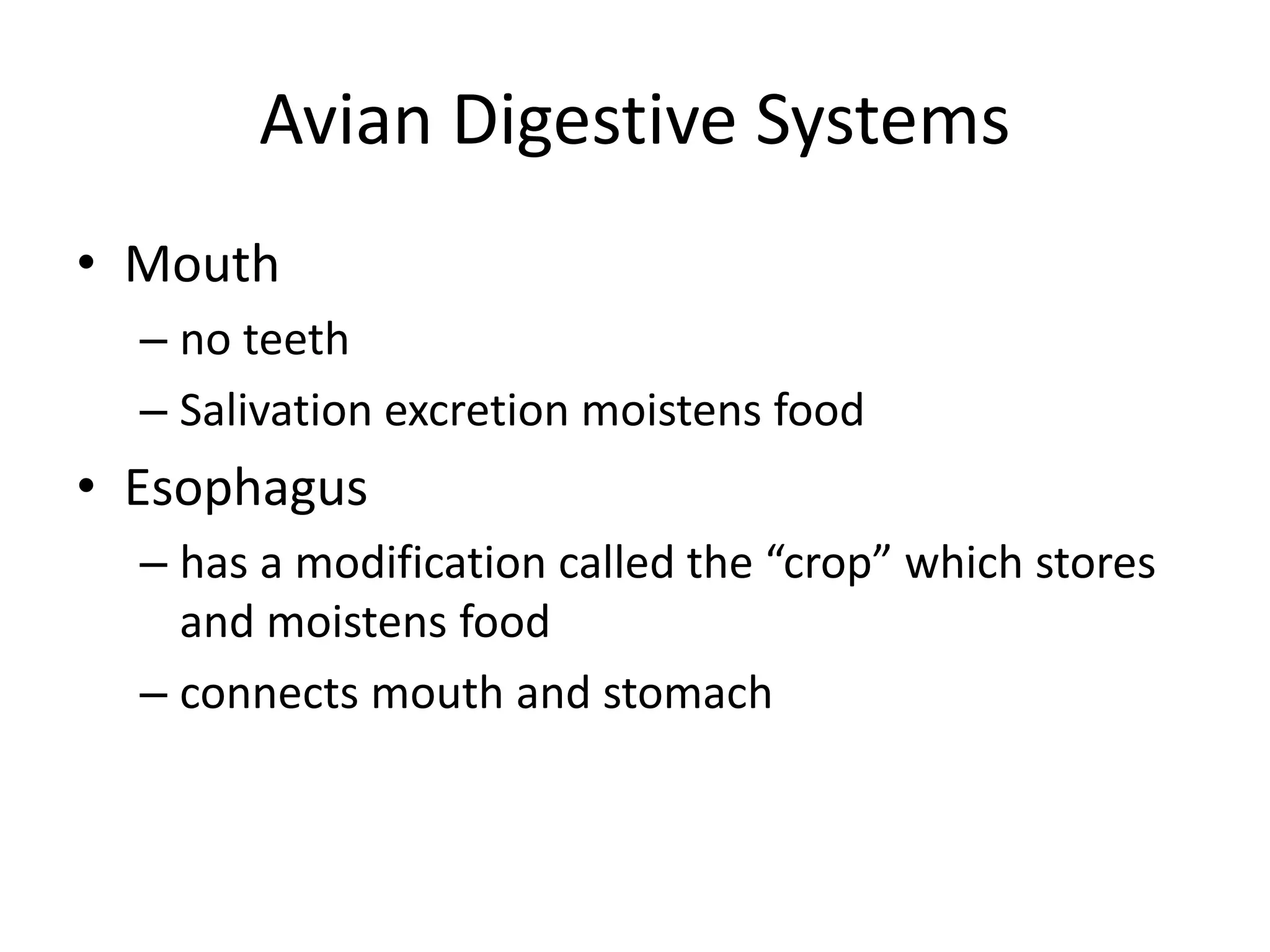 Avian Digestive Systems
• Mouth
– no teeth
– Salivation excretion moistens food
• Esophagus
– has a modification called the “crop” which stores
and moistens food
– connects mouth and stomach
 