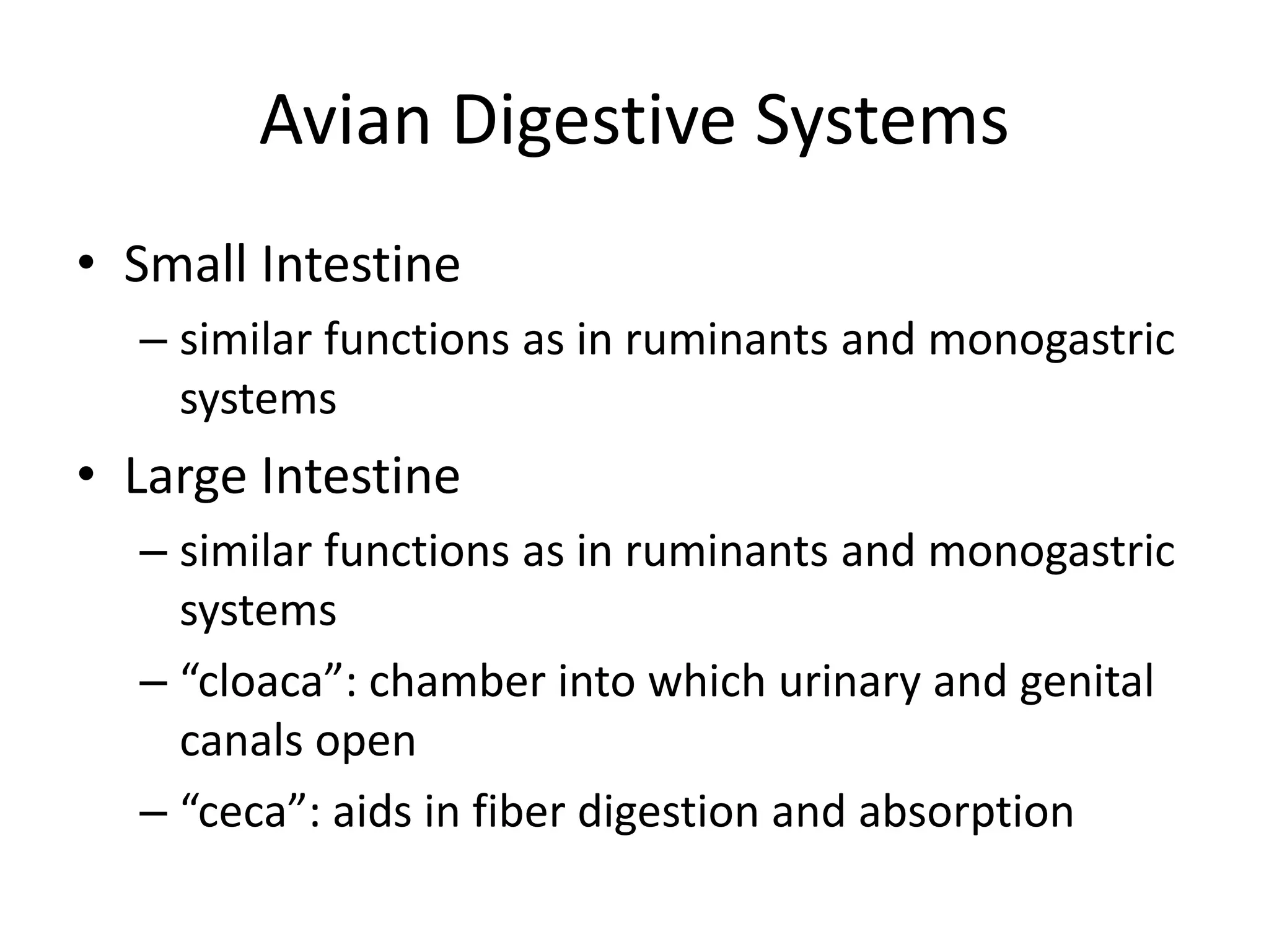Avian Digestive Systems
• Small Intestine
– similar functions as in ruminants and monogastric
systems
• Large Intestine
– similar functions as in ruminants and monogastric
systems
– “cloaca”: chamber into which urinary and genital
canals open
– “ceca”: aids in fiber digestion and absorption
 