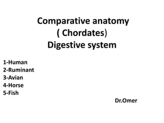 Comparative anatomy
( Chordates)
Digestive system
1-Human
2-Ruminant
3-Avian
4-Horse
5-Fish
Dr.Omer
 