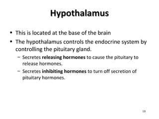 HypothalamusHypothalamus
• This is located at the base of the brain
• The hypothalamus controls the endocrine system by
controlling the pituitary gland.
– Secretes releasing hormones to cause the pituitary to
release hormones.
– Secretes inhibiting hormones to turn off secretion of
pituitary hormones.
10
 