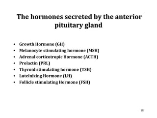 The hormones secreted by the anteriorThe hormones secreted by the anterior
pituitary glandpituitary gland
• Growth Hormone (GH)
• Melanocyte stimulating hormone (MSH)
• Adrenal corticotropic Hormone (ACTH)
• Prolactin (PRL)
• Thyroid stimulating hormone (TSH)
• Luteinizing Hormone (LH)
• Follicle stimulating Hormone (FSH)
18
 