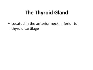 The Thyroid Gland
• Located in the anterior neck, inferior to
thyroid cartilage
 