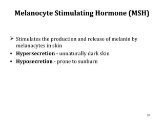  Stimulates the production and release of melanin by
melanocytes in skin
• Hypersecretion - unnaturally dark skin
• Hyposecretion - prone to sunburn
26
Melanocyte Stimulating Hormone (MSH)Melanocyte Stimulating Hormone (MSH)
 