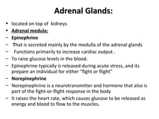 Adrenal Glands:Adrenal Glands:
• located on top of kidneys
• Adrenal medula:
– Epinephrine
– That is secreted mainly by the medulla of the adrenal glands
– Functions primarily to increase cardiac output .
– To raise glucose levels in the blood.
– Epinephrine typically is released during acute stress, and its
prepare an individual for either “fight or flight”
– Norepinephrine
– Norepinephrine is a neurotransmitter and hormone that also is
part of the fight-or-flight response in the body
– It raises the heart rate, which causes glucose to be released as
energy and blood to flow to the muscles.
 