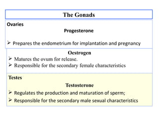 The Gonads
Testes
Testosterone
 Regulates the production and maturation of sperm;
 Responsible for the secondary male sexual characteristics
Ovaries
Progesterone
 Prepares the endometrium for implantation and pregnancy
Oestrogen
 Matures the ovum for release.
 Responsible for the secondary female characteristics
 
