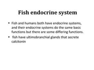Fish endocrine system
• Fish and humans both have endocrine systems,
and their endocrine systems do the same basic
functions but there are some differing functions.
• fish have ultimobranchial glands that secrete
calcitonin
 