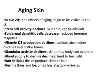 Aging Skin
•In our 20s, the effects of aging begin to be visible in the
skin.
•Stem cell activity declines: skin thin, repair difficult
•Epidermal dendritic cells decrease: reduced immune
response
•Vitamin D3 production declines: calcium absorption
declines and brittle bones
•Glandular activity declines: skin dries, body can overheat
•Blood supply to dermis declines: tend to feel cold
•Hair follicles die or produce thinner hair
•Dermis thins and becomes less elastic – wrinkles
 