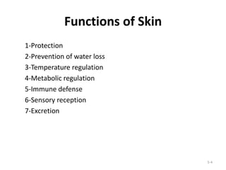 5-4
Functions of Skin
1-Protection
2-Prevention of water loss
3-Temperature regulation
4-Metabolic regulation
5-Immune defense
6-Sensory reception
7-Excretion
 