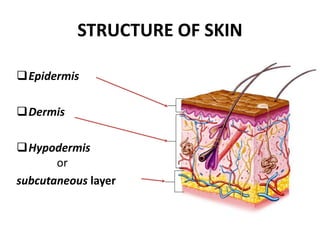 STRUCTURE OF SKIN
Epidermis
Dermis
Hypodermis
or
subcutaneous layer
 