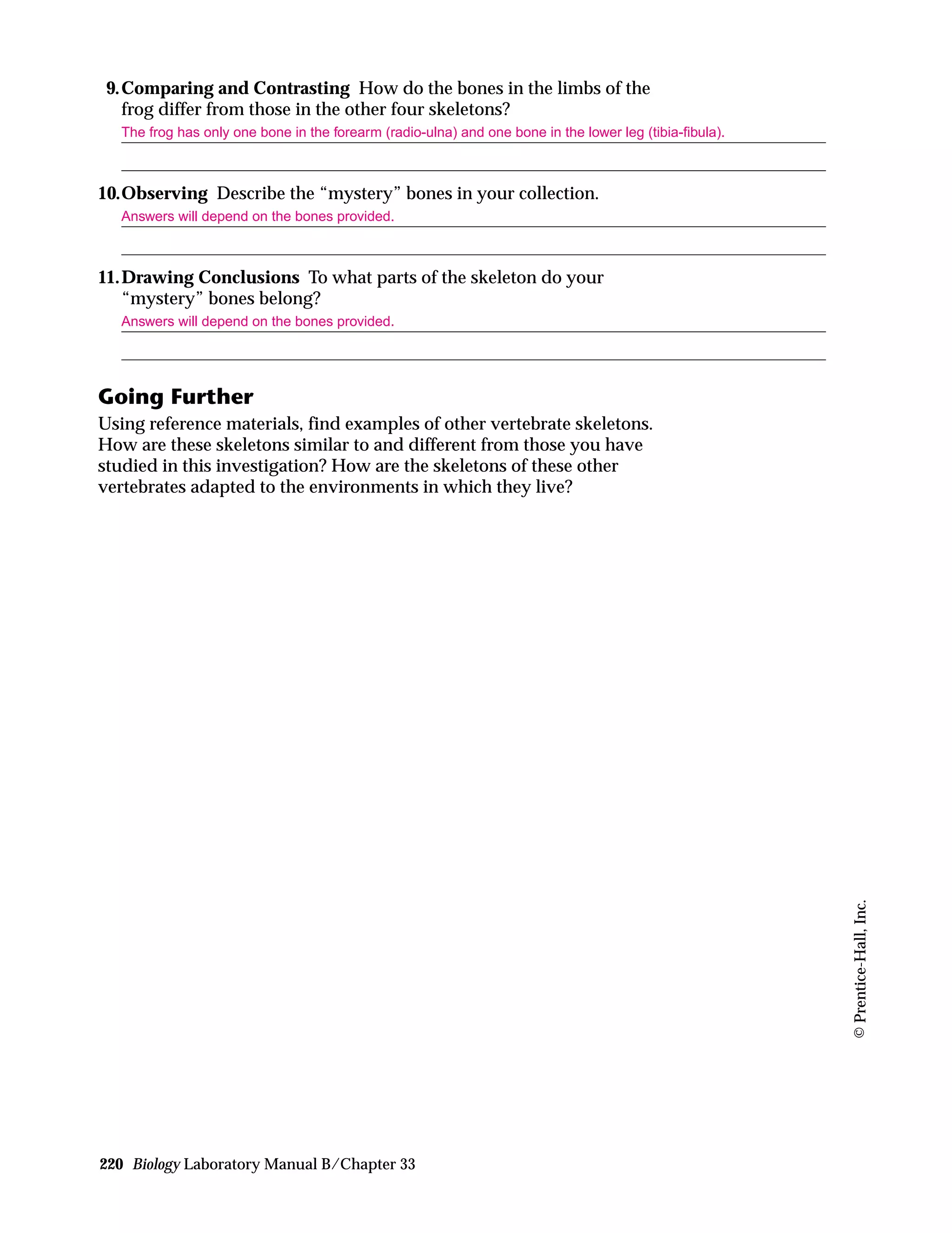 9.Comparing and Contrasting How do the bones in the limbs of the
frog differ from those in the other four skeletons?
The frog has only one bone in the forearm (radio-ulna) and one bone in the lower leg (tibia-fibula).
10.Observing Describe the “mystery” bones in your collection.
Answers will depend on the bones provided.
11.Drawing Conclusions To what parts of the skeleton do your
“mystery” bones belong?
Answers will depend on the bones provided.
Going Further
Using reference materials, find examples of other vertebrate skeletons.
How are these skeletons similar to and different from those you have
studied in this investigation? How are the skeletons of these other
vertebrates adapted to the environments in which they live?
220 Biology Laboratory Manual B/Chapter 33
©Prentice-Hall,Inc.
 