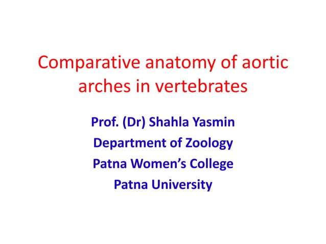 Comparative anatomy of aortic arches | PDF | Biological Sciences | Science