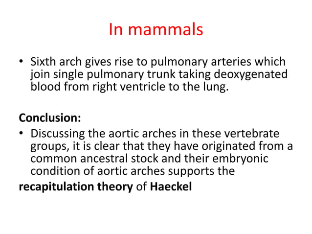 Comparative anatomy of aortic arches | PDF | Biological Sciences | Science
