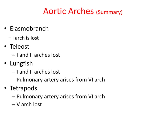 Comparative anatomy of aortic arches | PDF | Biological Sciences | Science