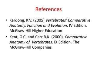 Comparative anatomy of aortic arches | PDF