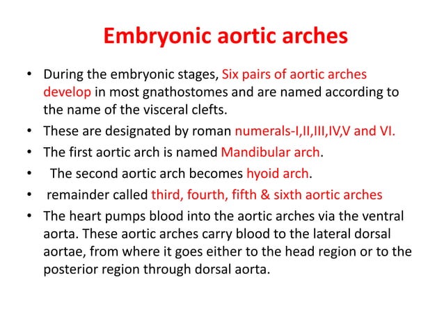 Comparative anatomy of aortic arches | PDF | Biological Sciences | Science