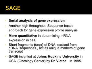 • Serial analysis of gene expression
• Another high throughput, Sequence-based
approach for gene expression profile analysis.
• More quantitative in determining mRNA
expression in cell.
• Short fragments (taqs) of DNA, excised from
cDNA sequences , act as unique markers of gene
transcript
• SAGE invented at Johns Hopkins University in
USA (Oncology Center) by Dr. Victor in 1995.
 