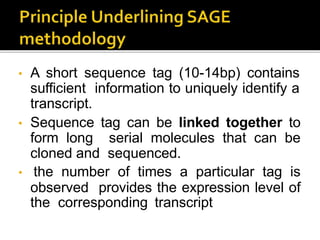 • A short sequence tag (10-14bp) contains
sufficient information to uniquely identify a
transcript.
• Sequence tag can be linked together to
form long serial molecules that can be
cloned and sequenced.
• the number of times a particular tag is
observed provides the expression level of
the corresponding transcript
 