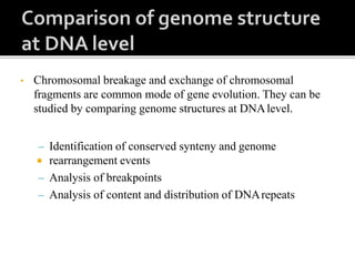 • Chromosomal breakage and exchange of chromosomal
fragments are common mode of gene evolution. They can be
studied by comparing genome structures at DNAlevel.
– Identification of conserved synteny and genome
 rearrangement events
– Analysis of breakpoints
– Analysis of content and distribution of DNArepeats
 