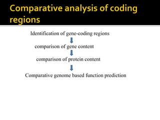 Identification of gene-coding regions
comparison of gene content
comparison of protein content
Comparative genome based function prediction
 