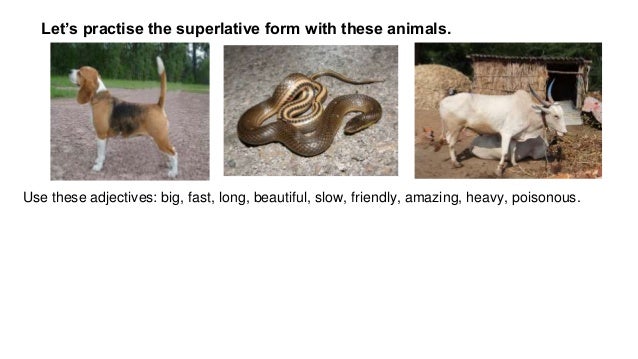 Comparative & Superlative 