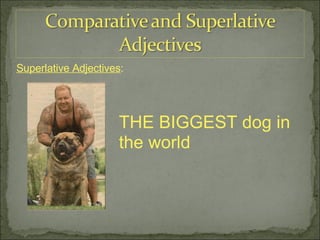THE BIGGEST dog in  the world Superlative Adjectives : 