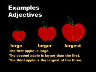 Examples  Adjectives large  larger  largest The first apple is large.  The second apple is larger than the first. The third apple is the largest of the three. 