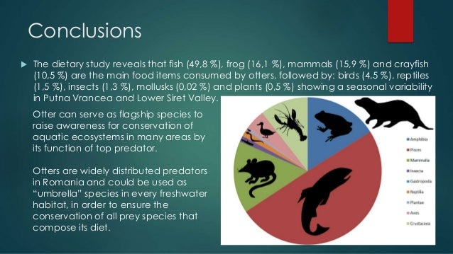 Comparative diet analysis of the eurasian otter