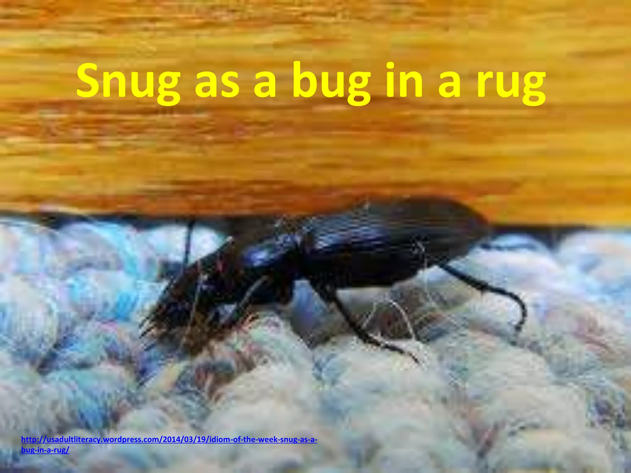 Snug as a bug in a rug 
http://usadultliteracy.wordpress.com/2014/03/19/idiom-of-the-week-snug-as-a-bug- 
in-a-rug/ 
 