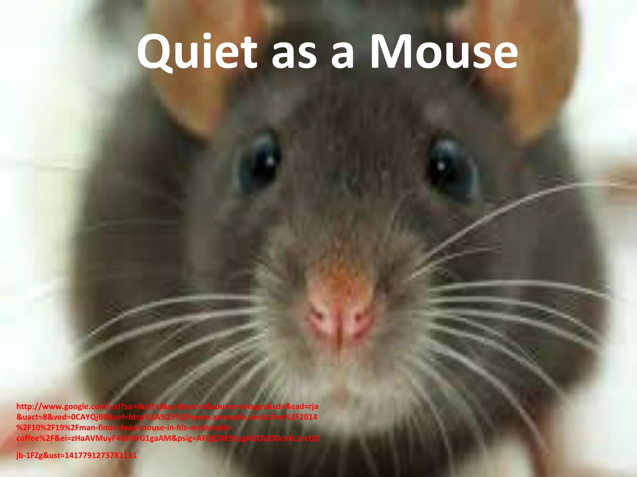 Quiet as a Mouse 
http://www.google.com/url?sa=i&rct=j&q=&esrc=s&source=images&cd=&cad=rja 
&uact=8&ved=0CAYQjB0&url=http%3A%2F%2Fwww.armradio.am%2Fen%2F2014 
%2F10%2F19%2Fman-finds-dead-mouse-in-his-mcdonalds-coffee% 
2F&ei=zHaAVMuyF4GhNrG1gaAM&psig=AFQjCNE91zgKIZQUDDcaXL1reQ0 
jb-1FZg&ust=1417791273781131 
 