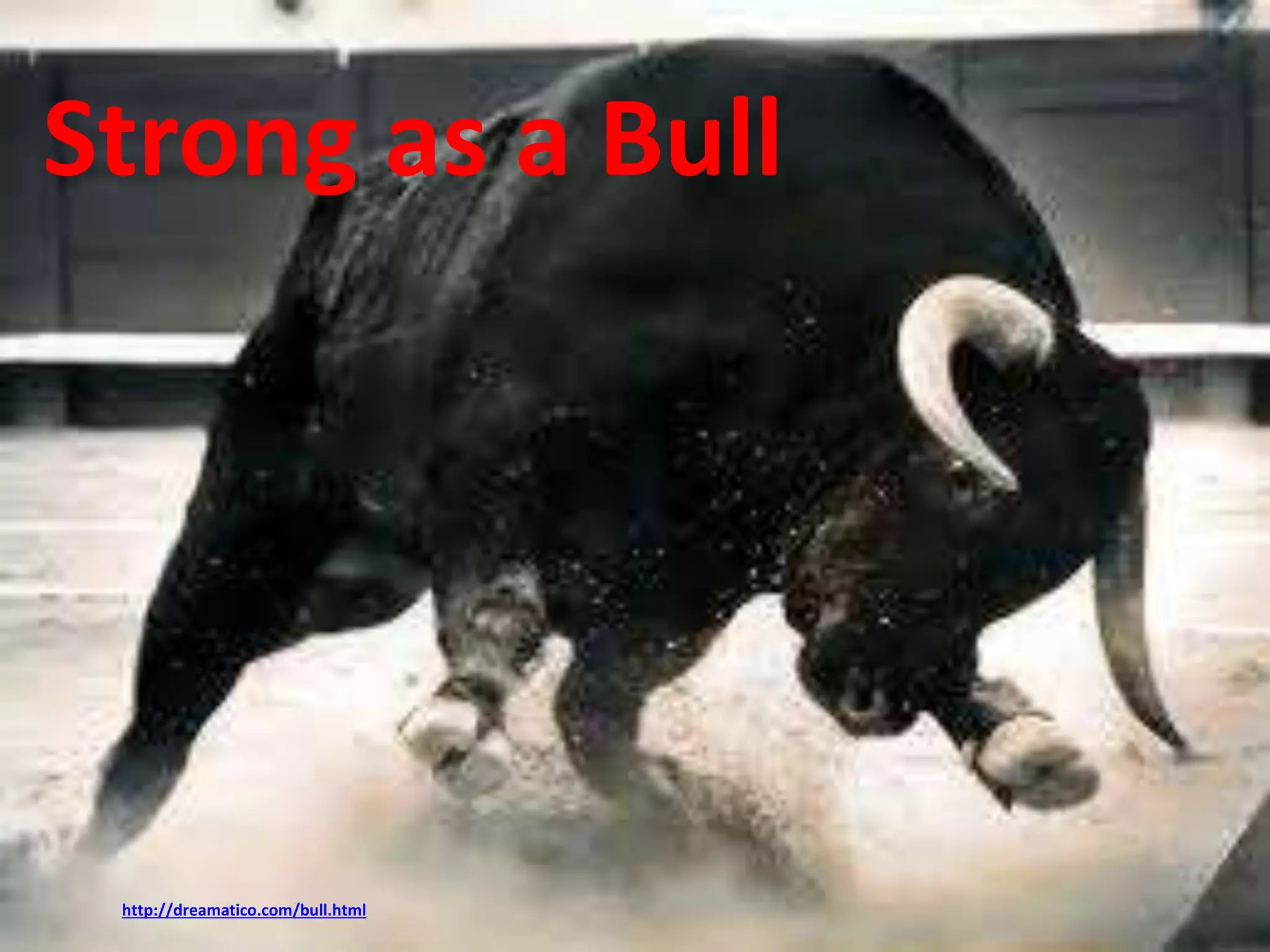 Strong as a Bull 
http://dreamatico.com/bull.html 
 