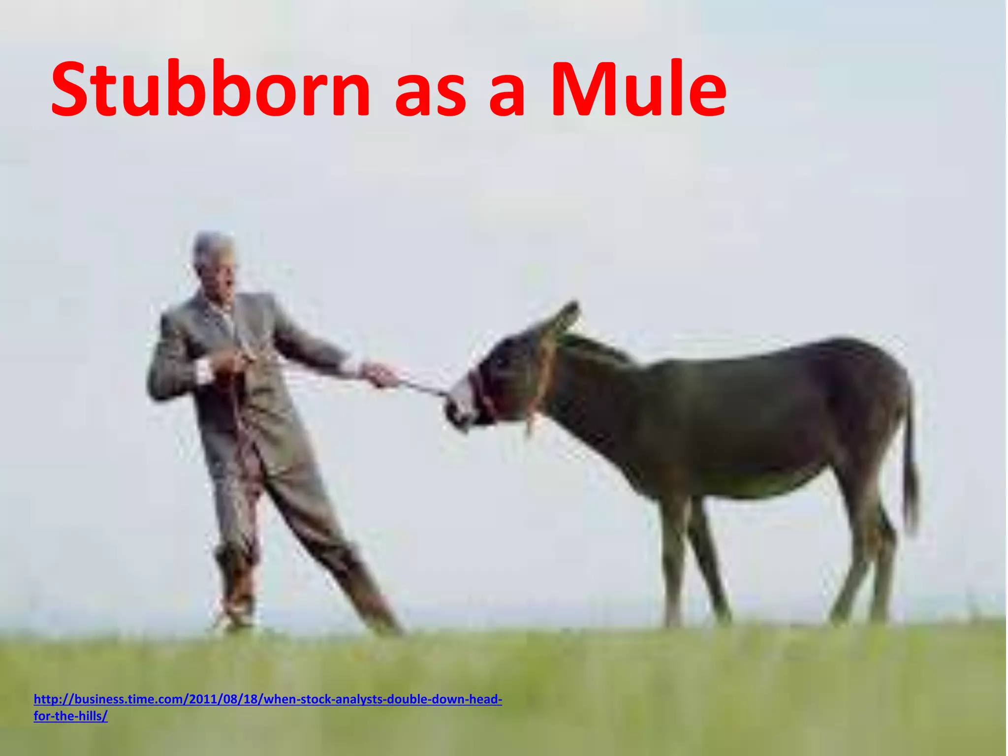 Stubborn as a Mule 
http://business.time.com/2011/08/18/when-stock-analysts-double-down-head-for- 
the-hills/ 
 