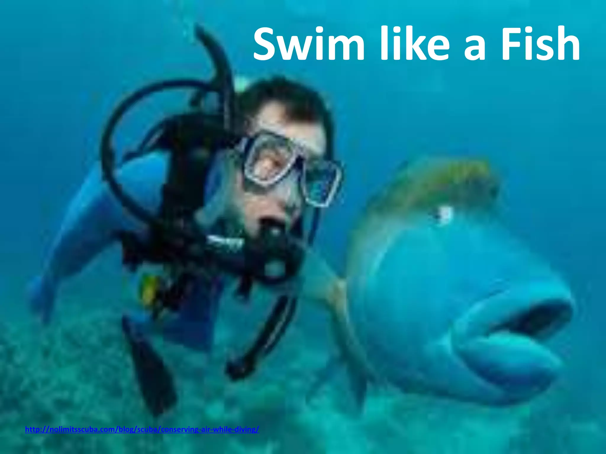 Swim like a Fish 
http://nolimitsscuba.com/blog/scuba/conserving-air-while-diving/ 
 