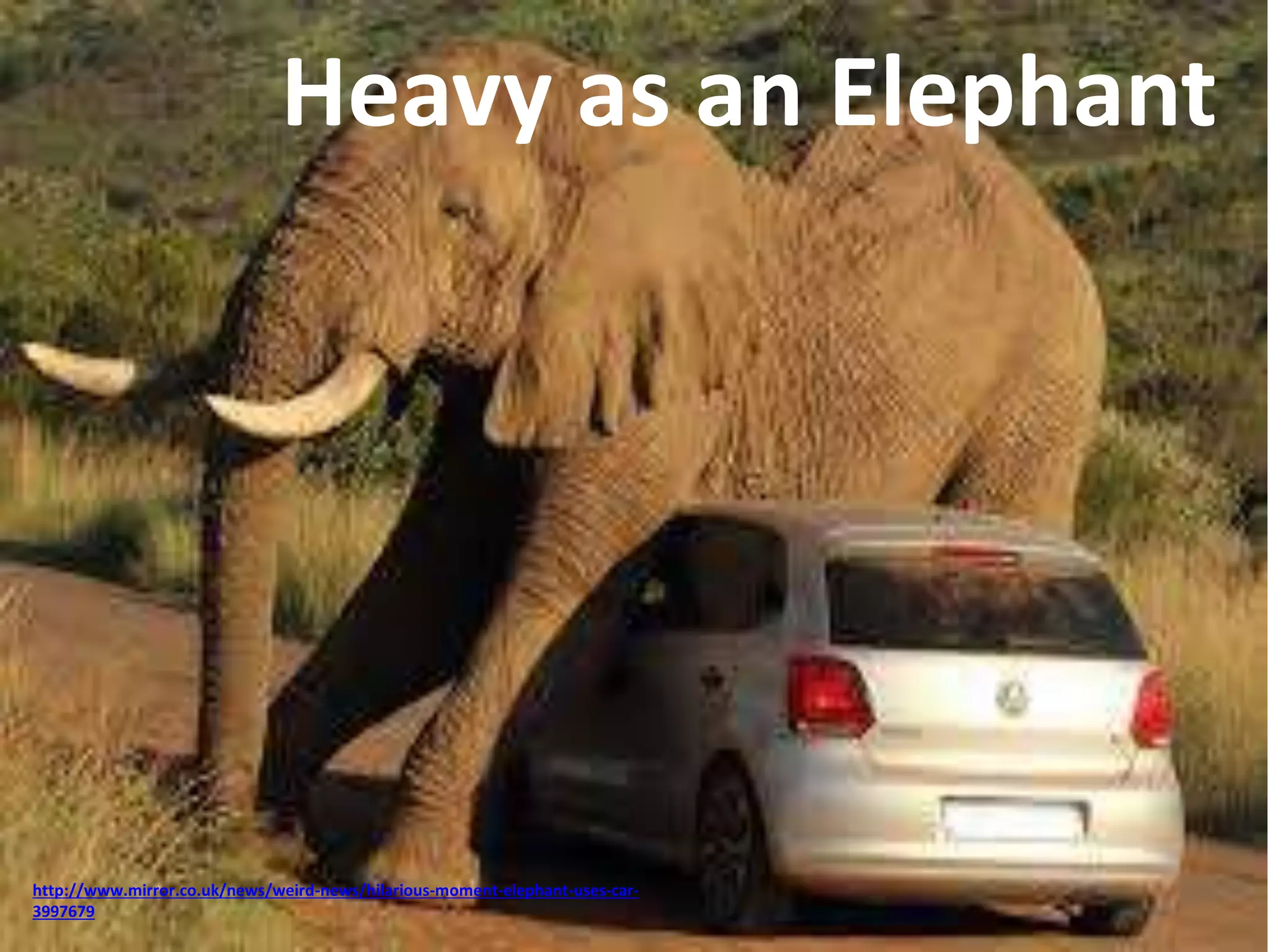 Heavy as an Elephant 
http://www.mirror.co.uk/news/weird-news/hilarious-moment-elephant-uses-car- 
3997679 
 
