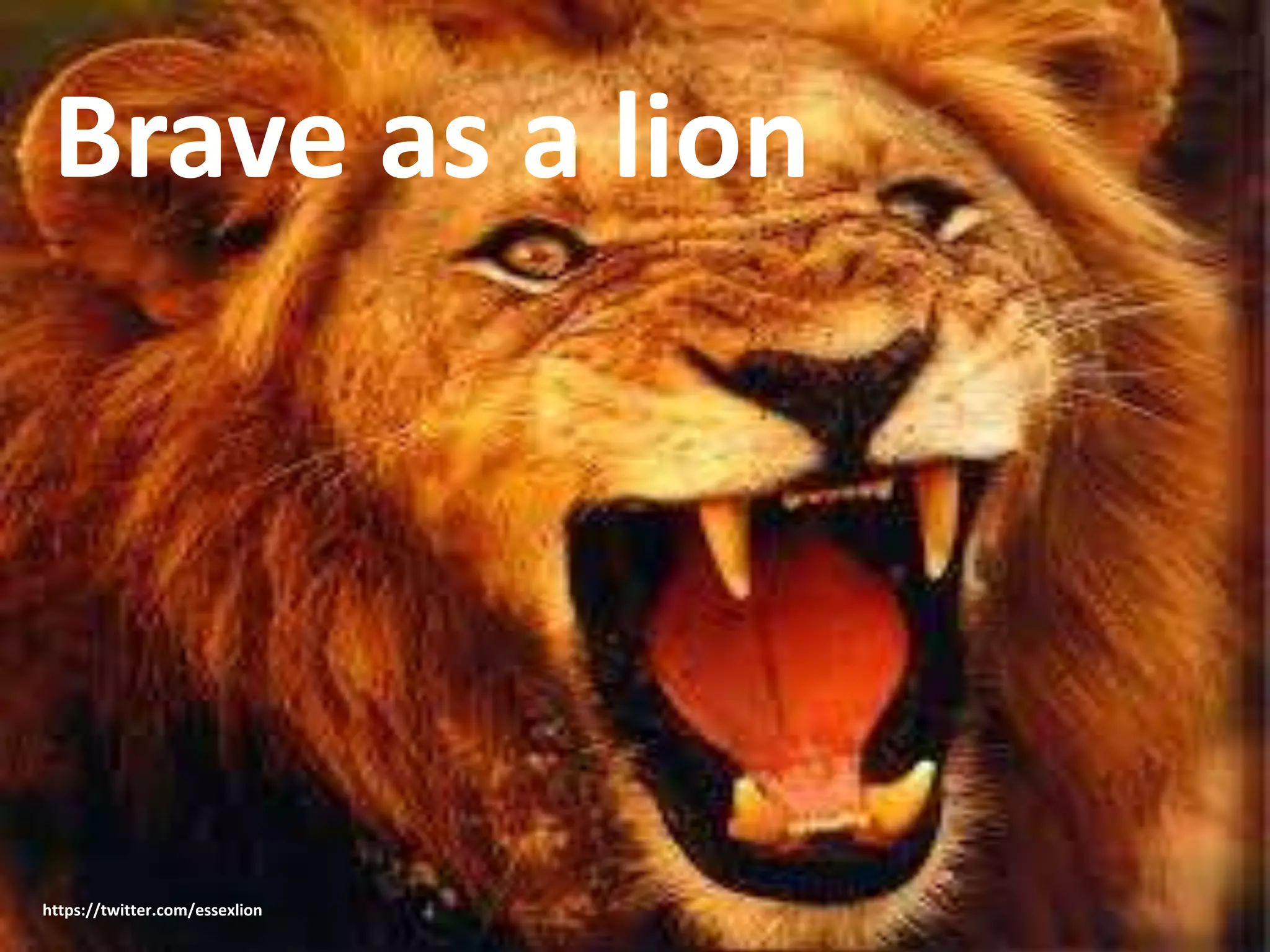 Brave as a lion 
https://twitter.com/essexlion 
 