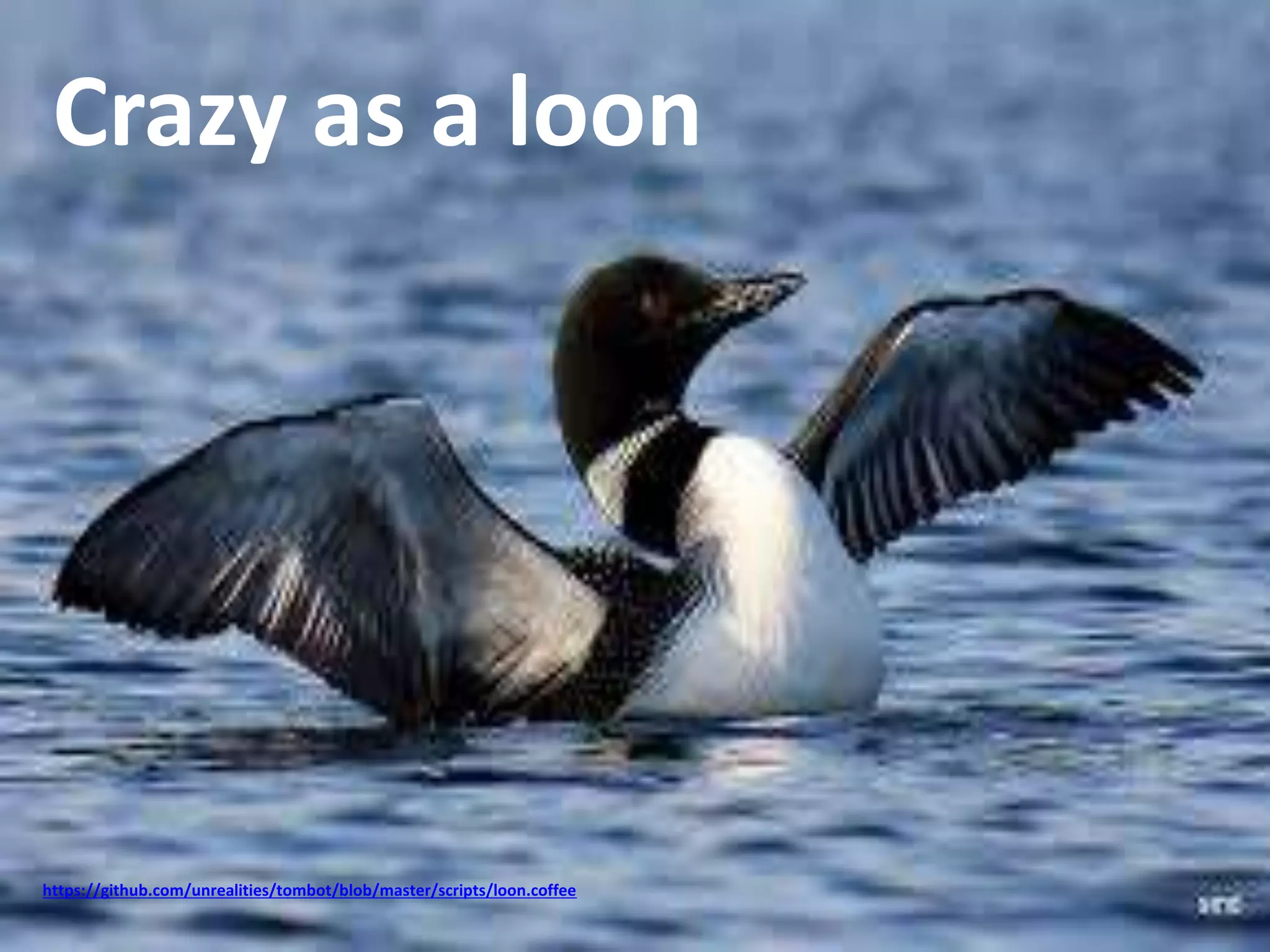 Crazy as a loon 
https://github.com/unrealities/tombot/blob/master/scripts/loon.coffee 
 