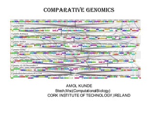 Comparative GenomiCs
AMOL KUNDE
Btech,Msc(ComputationalBiology)
CORK INSTITUTE OF TECHNOLOGY,IRELAND
 