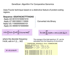 GeneScan :Algorithm For Comparative Genomics
Uses Fourier technique based on a distinctive feature of protein-coding
regions.
Sequence :GGATACACTTTAGAG
Apply UA 001010100001010
Apply UT 000100001110000 Converted into Binary
Apply UG 110000000000101
Apply UC 000001010000000
where the discrete frequency
f=k/N, with k=1,2,....N/2
The average of the total spectrum, S^, can be
calculated from the frequency of occurrence
 