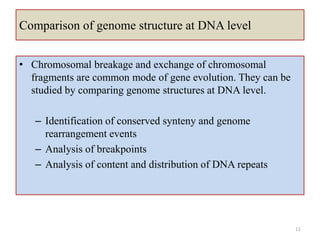 Comparative genomics | PPTX