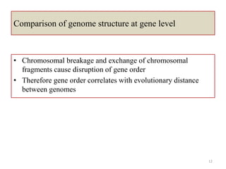 Comparative genomics | PPTX