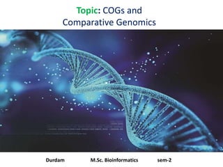 Topic: COGs and
Comparative Genomics
Durdam M.Sc. Bioinformatics sem-2
 