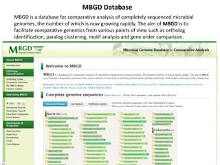 MBGD Database
MBGD is a database for comparative analysis of completely sequenced microbial
genomes, the number of which is now growing rapidly. The aim of MBGD is to
facilitate comparative genomics from various points of view such as ortholog
identification, paralog clustering, motif analysis and gene order comparison.
 