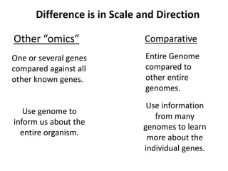 Difference is in Scale and Direction
One or several genes
compared against all
other known genes.
Use genome to
inform us about the
entire organism.
Use information
from many
genomes to learn
more about the
individual genes.
Entire Genome
compared to
other entire
genomes.
Other “omics” Comparative
 