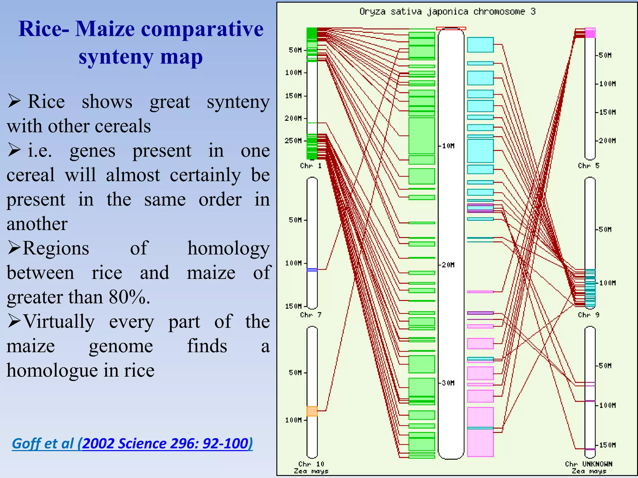 Comparative genomics | PPTX