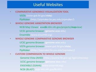 Ensemble Browser Comparative genomics | PPTX