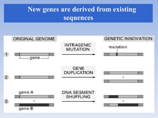 Comparative genomics | PPTX