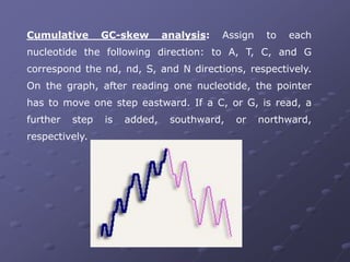 Gc Skew R Loop COMPARATIVE GENOMICS.ppt
