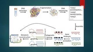 Comparative genomics ................pptx