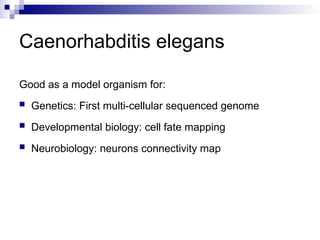 Comparative Genomics of Eukaryotic Model Organisms and Evolutionary ...