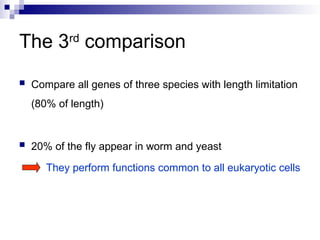Comparative Genomics of Eukaryotic Model Organisms and Evolutionary ...