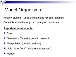 Comparative Genomics of Eukaryotic Model Organisms and Evolutionary ...